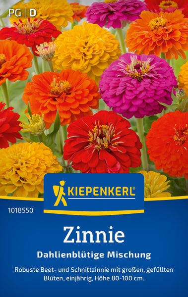 Samentüte für Zinnien mit dahlienblütiger Mischung von Kiepenkerl mit großen gefüllten Blüten für Beet und Schnitt