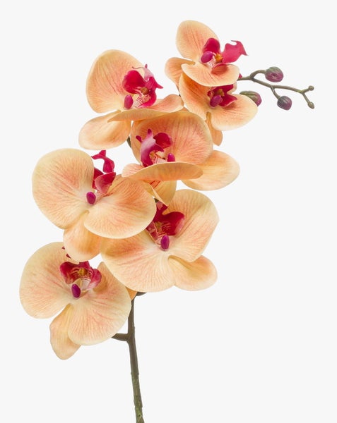 Künstliche Orchidee Phalaenopsis mit lachsfarbenen Blüten und pinkem Zentrum.