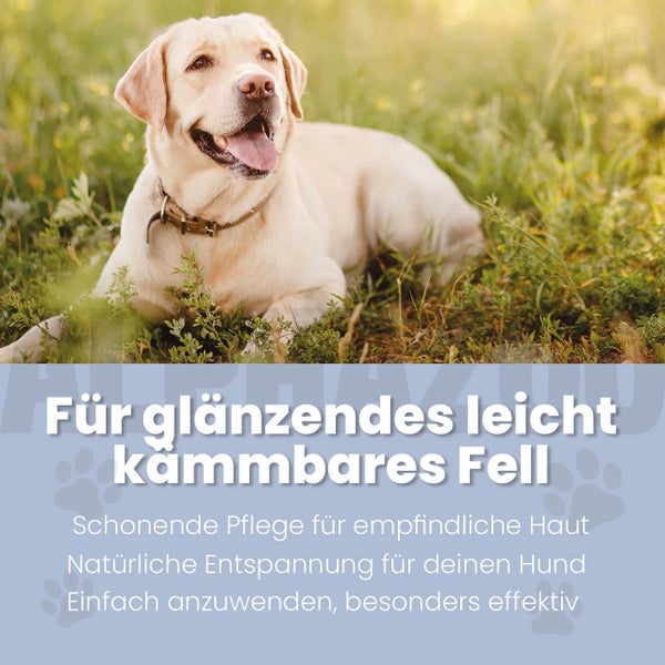 Ein Labrador liegt im Gras