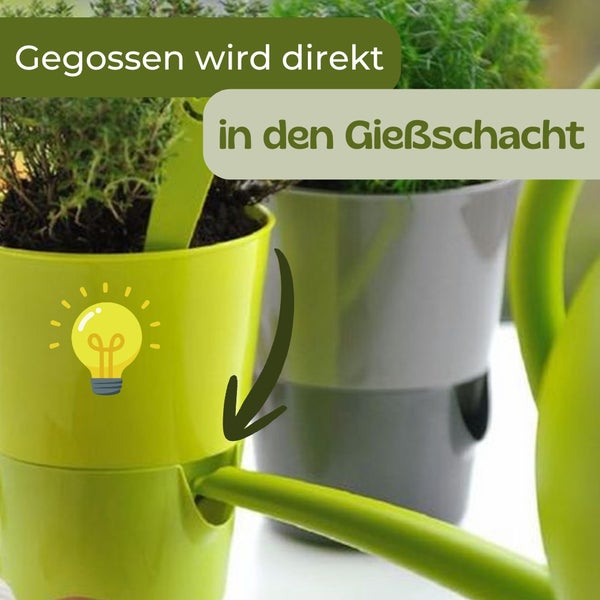 Blumentopf mit Gießschacht für direktes Bewässern mit einer Gießkanne.
