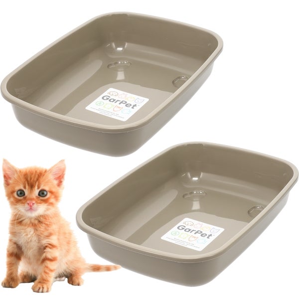 Zwei Katzentoiletten aus Kunststoff mit einer jungen Katze
