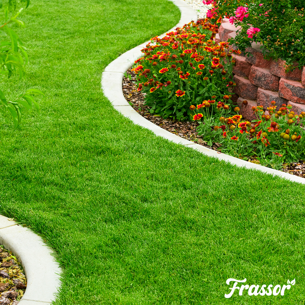 Gepflegter Garten mit Rasenfläche, Blumenbeet und Rasenkante