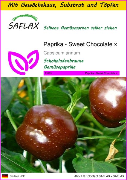 SAFLAX Anzucht Set - Paprika - Sweet Chocolate x - Capsicum annum - 10 Samen - Mit Mini-Gewächshaus, Anzuchtsubstrat und 2 Töpfen
