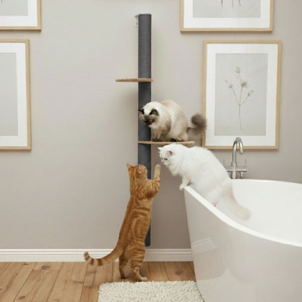 Wandkratzbaum mit Sisalsäule und Holzregalen zur Wandmontage in einem Badezimmer mit drei spielenden Katzen neben einer Badewanne.