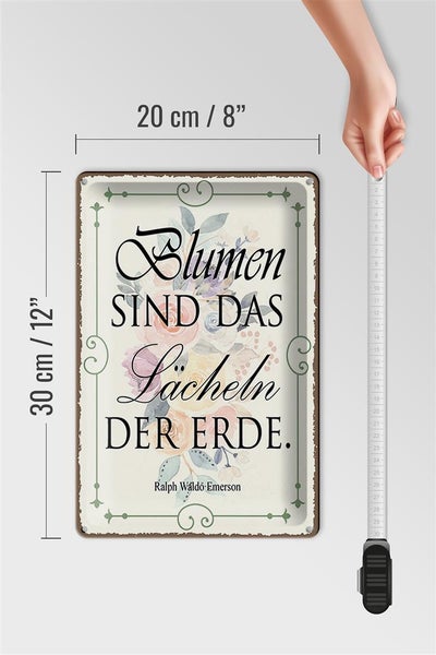 Blechschild Spruch 20x30cm Blumen sind das Lächeln der Erde