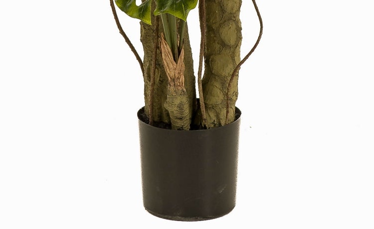 Künstlicher Philodendron KORVEX, Luftwurzeln, 180cm - Kunstpflanze Monstera deliciosa