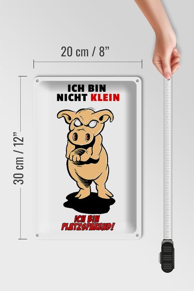 Blechschild Spruch 20x30cm Bin nicht klein bin platzsparend