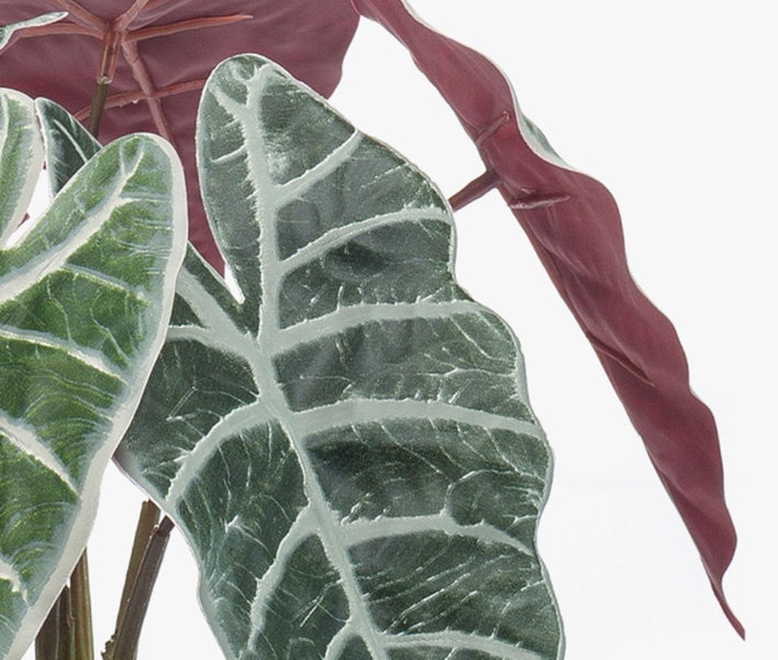 Künstliche Alocasia Zimmerpflanze mit herzförmigen grünen Blättern und markanten hellen Blattadern.