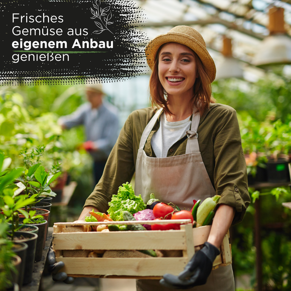 Lächelnde Frau mit Strohhut und Schürze hält eine Holzkiste mit frischem Gemüse in einem hellen Gewächshaus.
