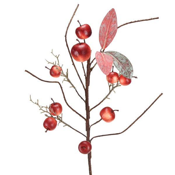 Dekorativer Apfelzweig mit roten Äpfeln und Blättern