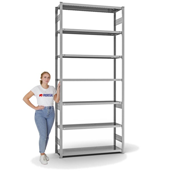 PROREGAL Fachbodenregal Stecksystem T-Profil Light-Duty Grundregal HxBxT 300 x 130 x 40 cm 7 Ebenen Fachlast 180 kg Beidseitig Nutzbar Verzinkt