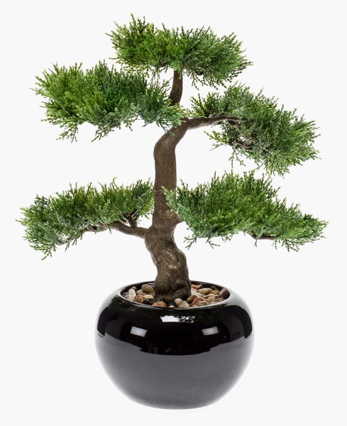 Nahaufnahme eines künstlichen Bonsais mit strukturiertem braunem Stamm und grünen Nadeln.