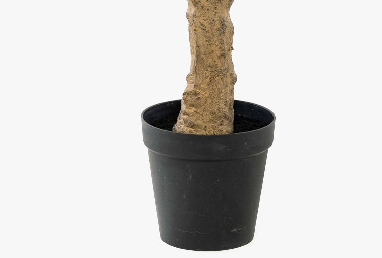 Künstliche Gummibaumpflanze Ficus Elastica mit grünen Blättern und braunem Stamm in schwarzem Kunststofftopf für die Innendekoration.