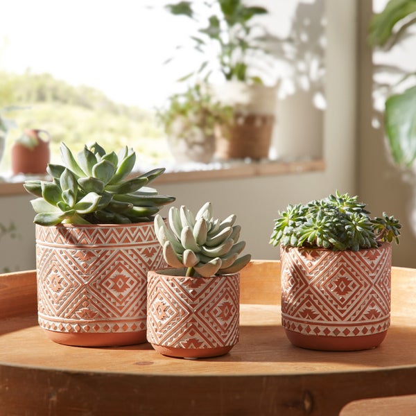 FRANK FLECHTWAREN | Blumentopf Terracotta, 3er Set, ZEMENT, 8 x 8 x 7 cm, 10 x 10 x 9 cm, 12 x 12 x 11 cm