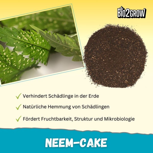 Bio2Grow Neem cake for pest prevention and promotion of soil fertility, structure and microbiology