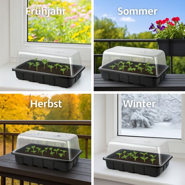 Zimmergewächshaus mit transparenter Abdeckung und Keimlingen in vier saisonalen Umgebungen: Frühling, Sommer, Herbst und Winter.