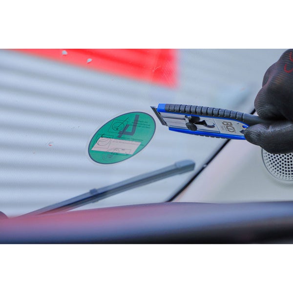 Deutzie mit rosa Blüten