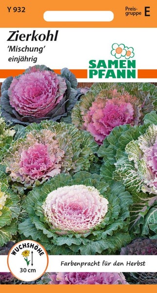 Zierkohlmischung Samenpackung, einjährige Sorte für den Herbst, Wuchshöhe 30 cm