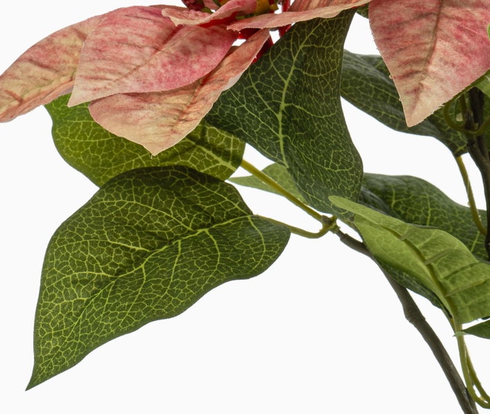 Nahaufnahme einer künstlichen Poinsettie mit grünen Blättern und rosafarbenen Hochblättern.