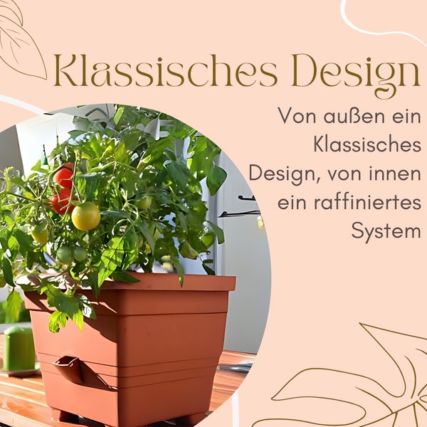 Tomatenpflanze in einem Pflanzgefäß mit dem Text: Klassisches Design, von außen ein klassisches Design, von innen ein raffiniertes System.
