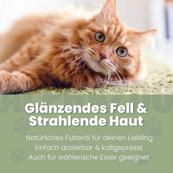 Katze für glänzendes Fell und strahlende Haut