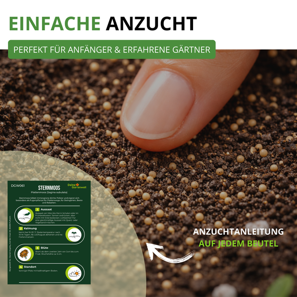 Nahaufnahme eines Fingers beim Säen von Sternmoos-Samen in Erde mit Anzuchtanleitung von Deine Gartenwelt für Anfänger und erfahrene Gärtner.