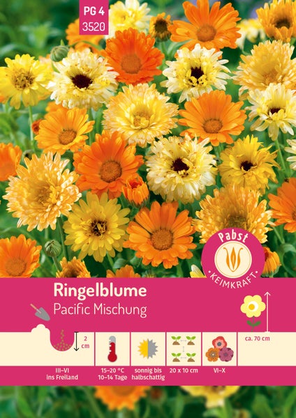 Samentüte für Ringelblume Pacific Mischung mit gelben und orangefarbenen Blüten, Pabst Keimkraft Logo und Anbauhinweisen.