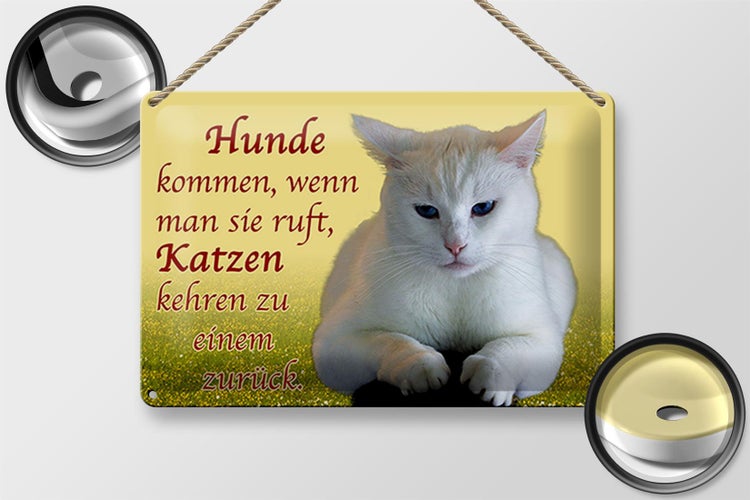 Blechschild Spruch 30x20cm Hunde kommen Katzen kehren zurück