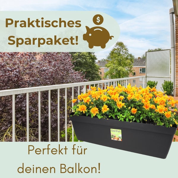 Balkon mit Blumenkasten und gelben Blumen
