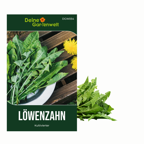 Löwenzahn Kultivierter Samen von Deine Gartenwelt