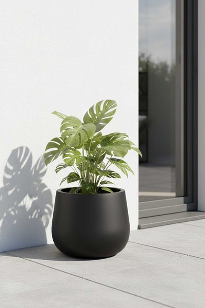 Monstera Pflanze in einem schwarzen runden Topf auf einer modernen hellen Terrasse.