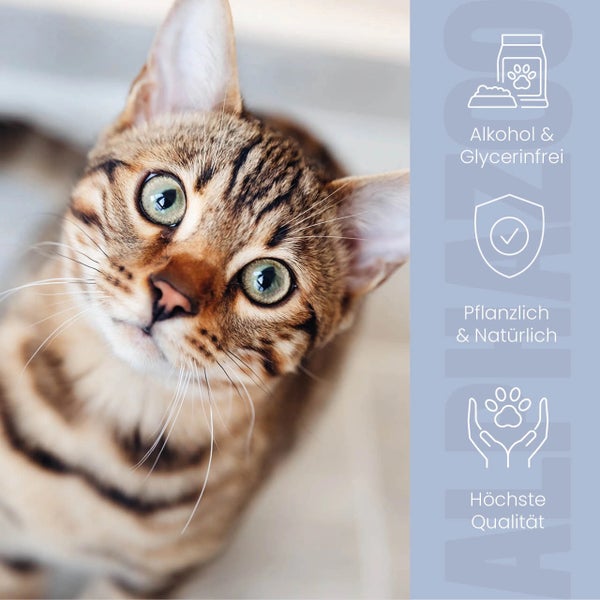 Nahaufnahme einer Katze mit Informationen zu Inhaltsstoffen und Qualität