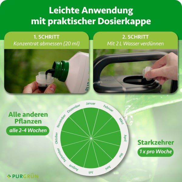Anleitung für Purgrün Dünger: 20 Milliliter Konzentrat abmessen und mit 2 Liter Wasser verdünnen. Inklusive Düngekalender für verschiedene Pflanzen.