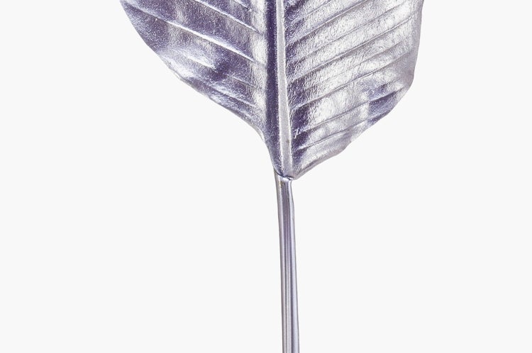 Kiefernzweig mit langen grünen Nadeln zur Dekoration.