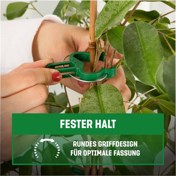 GardenGloss 24 Pflanzenclips für Kletterpflanzen - Größe: L - Pflanzenklammern für Tomaten, Rosen, Gurken und andere Rankpflanzen – Stabile Pflanzen Klammern