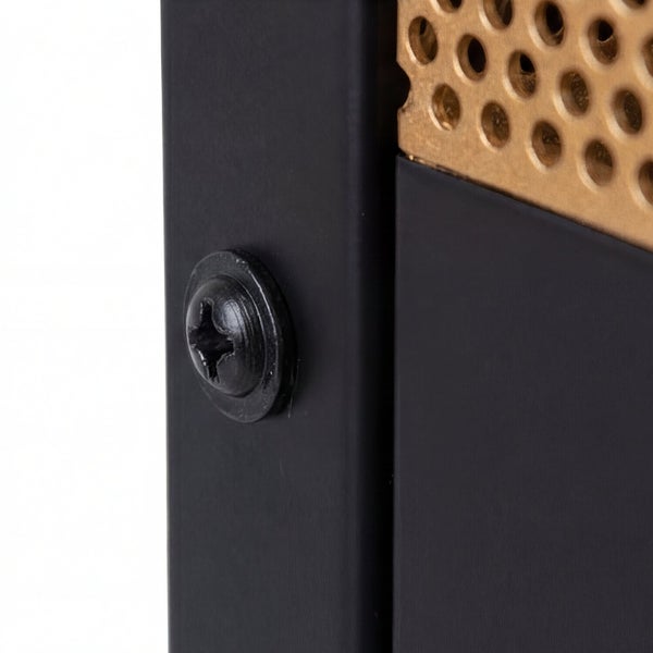 Nahaufnahme einer schwarzen Kreuzschlitzschraube an einem schwarzen Metallrahmen mit gelochtem Metalleinsatz.