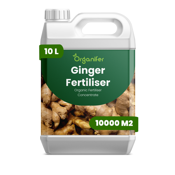 10 Liter Kanister Organifer Ingwerdünger, organisches Düngerkonzentrat für 10000 Quadratmeter.