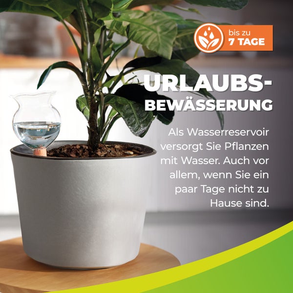 Tonkegel Bewässerung für Zimmerpflanzen Hydro Bloom