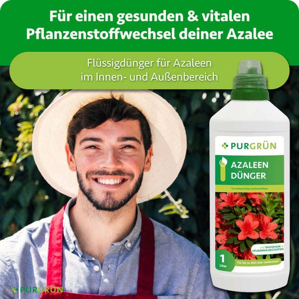 Eine Flasche Purgrün Azaleendünger mit einem Liter Inhalt neben einem lächelnden Gärtner mit Hut für gesunde und vitale Azaleen.