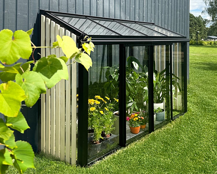 Anlehngewächshaus mit schwarzem Rahmen und Holzlamellen an einer Hauswand, befüllt mit verschiedenen Topfpflanzen auf einer Rasenfläche.