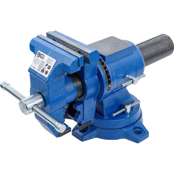 Blauer Schraubstock mit einer Backenbreite von 100 mm.