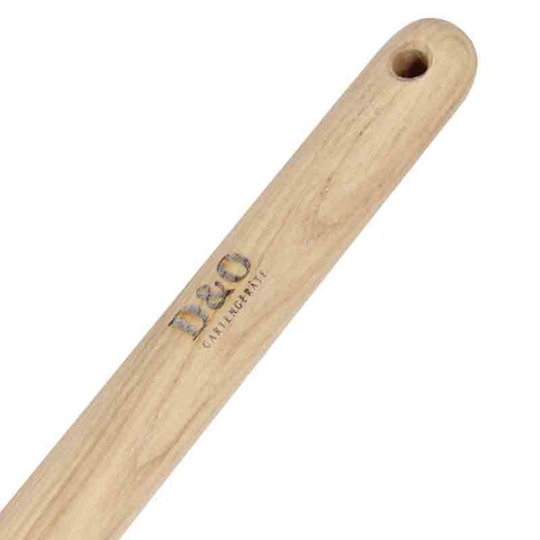 Zimmerpflanze Asparagus in einem Topf