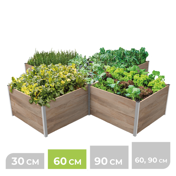 Eckiges Hochbeet aus Holz mit Metallprofilen, bepflanzt mit Salat und Kräutern, Höhe 60 Zentimeter.