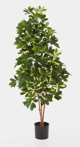 Künstliche Schefflera im schwarzen Kunststofftopf mit grün-gelb gemusterten Blättern und Echtholzstämmen.