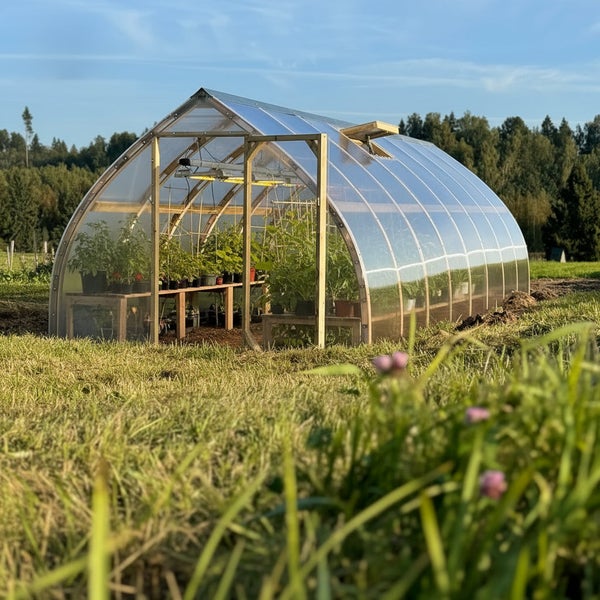 Gewächshaus mit Holzrahmen, gewölbtem Dach und transparenten Paneelen auf einer Wiese mit Pflanzen und Wachstumsleuchten im Inneren.