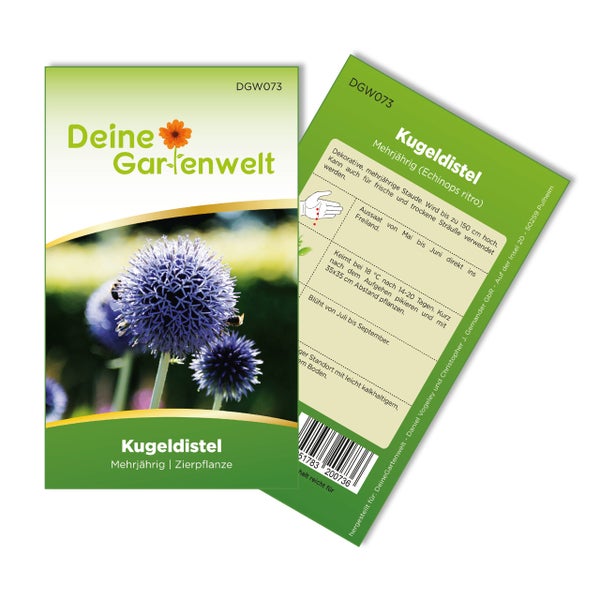 Samentüte für Kugeldistel Echinops ritro von Deine Gartenwelt, mehrjährige Zierpflanze, Vorder- und Rückseite mit Anbauanleitung.