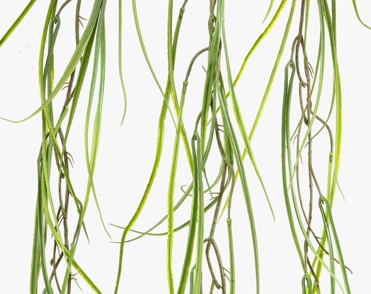 Künstliche Hängepflanze mit langen, schmalen Blättern für die Wanddekoration oder Ampeln.