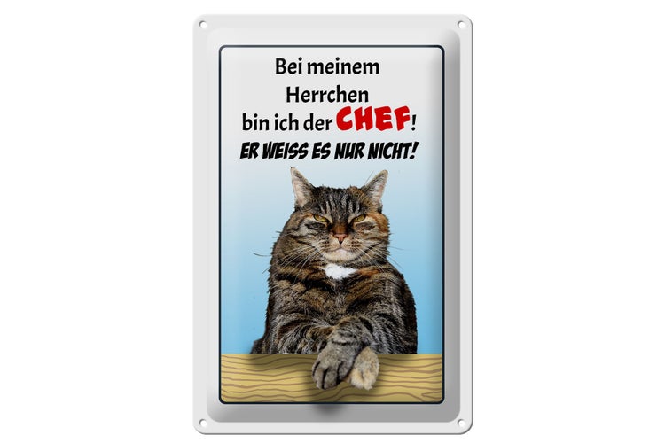 Blechschild Spruch 20x30cm Katze bei meinem Herrchen Chef