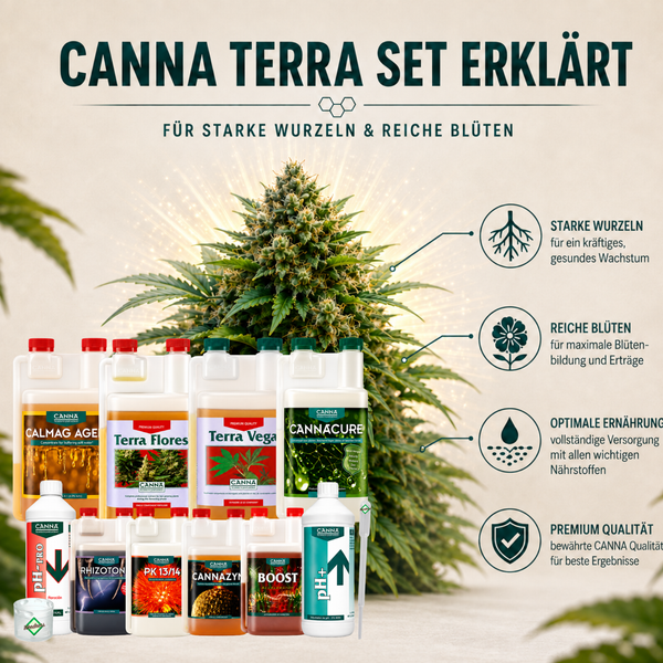 Infografik zum Canna Terra Set mit verschiedenen Düngemitteln und Pflanzenhilfsmitteln sowie Erläuterungen zu Wurzelwachstum und Blütenbildung.