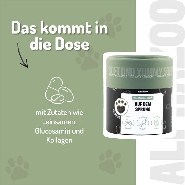 Alpahzoo Agility Snacks für Hunde Dose